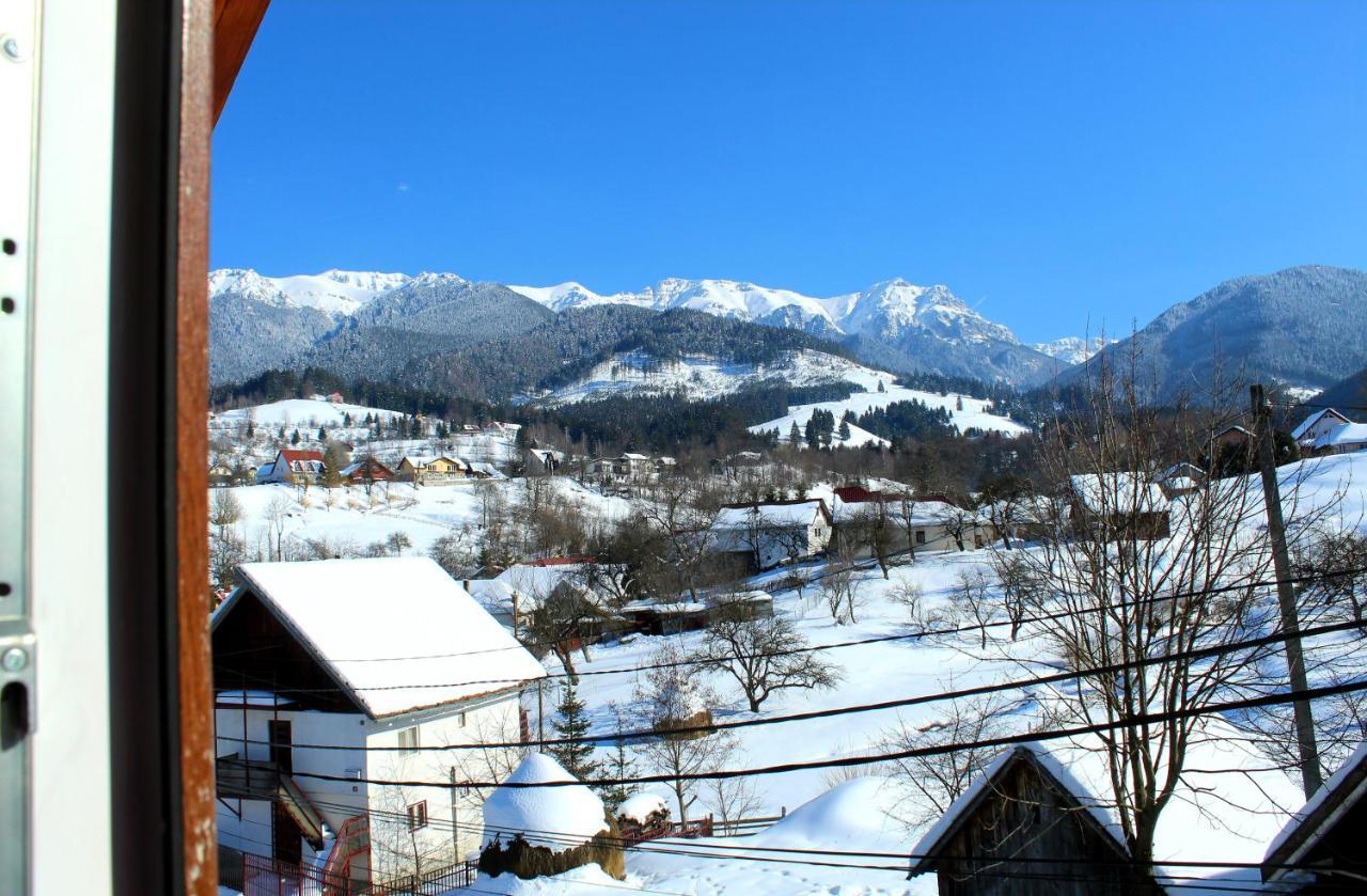 Milea'S Guesthouse برانْ المظهر الخارجي الصورة